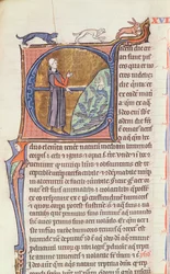 Ms 426 fol. 213 En läkare vid en fiskdamm, från 